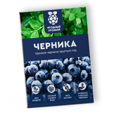 Домашняя ягодница - черника | низкая цена